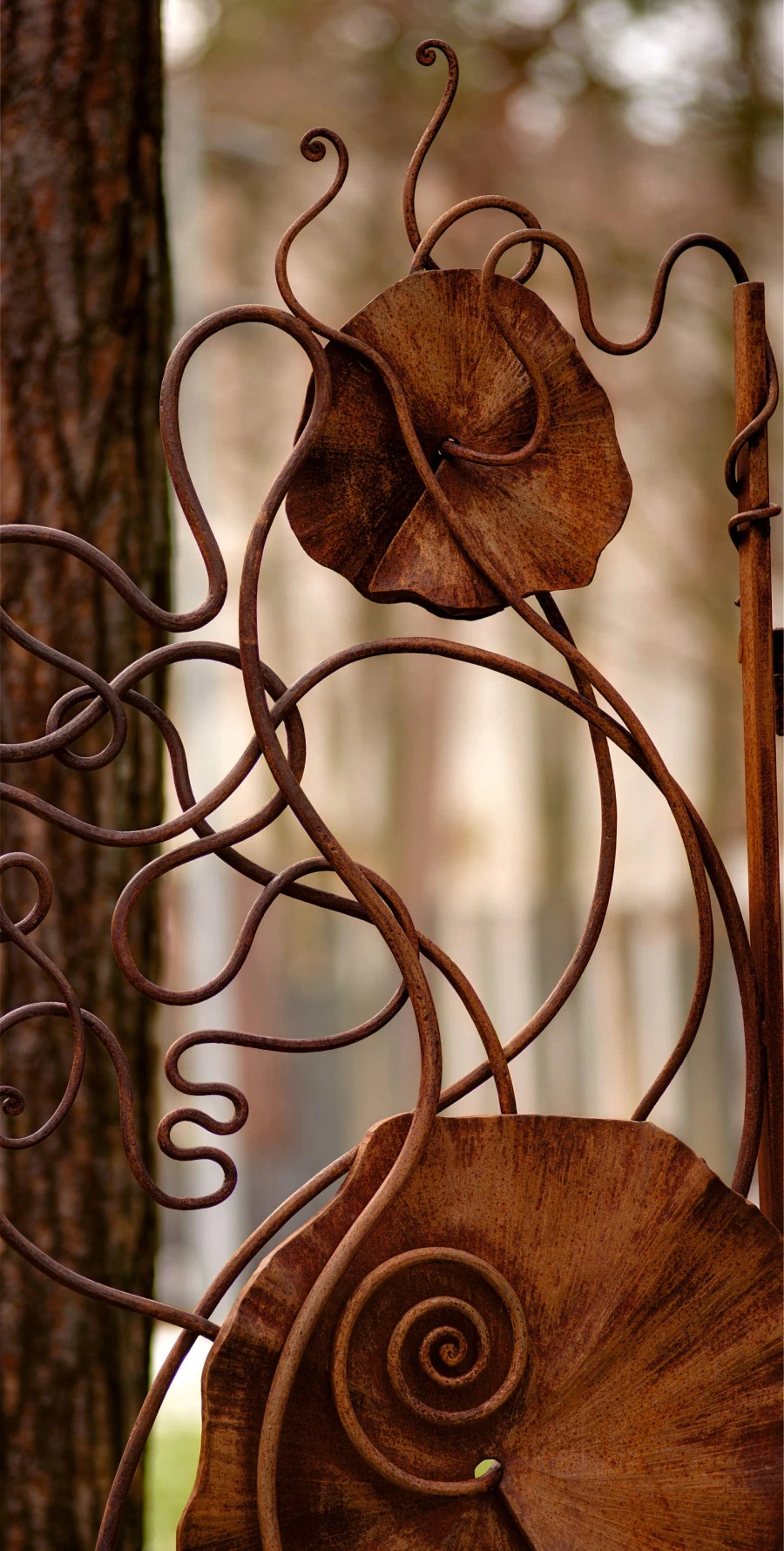 Hotel. Gates, portals, fence.