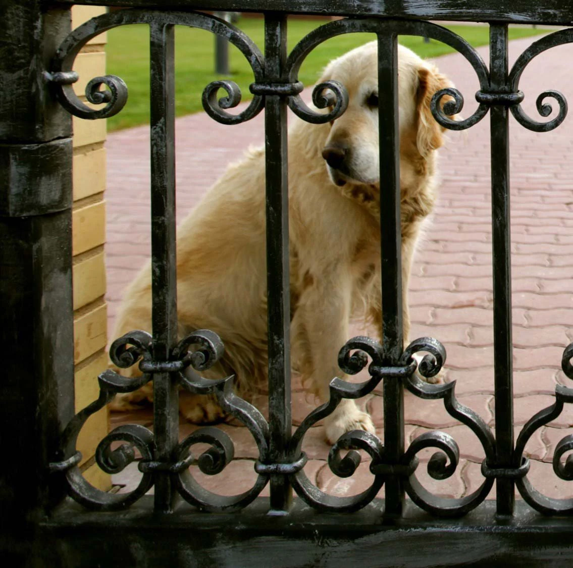 Private residence. Gates, portals, fences, lights.
